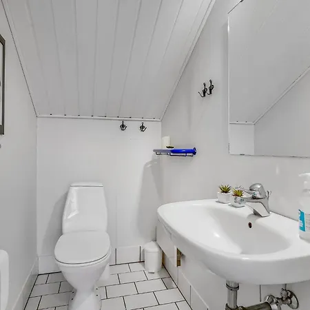 Pet Friendly In With Sauna Oksbøl